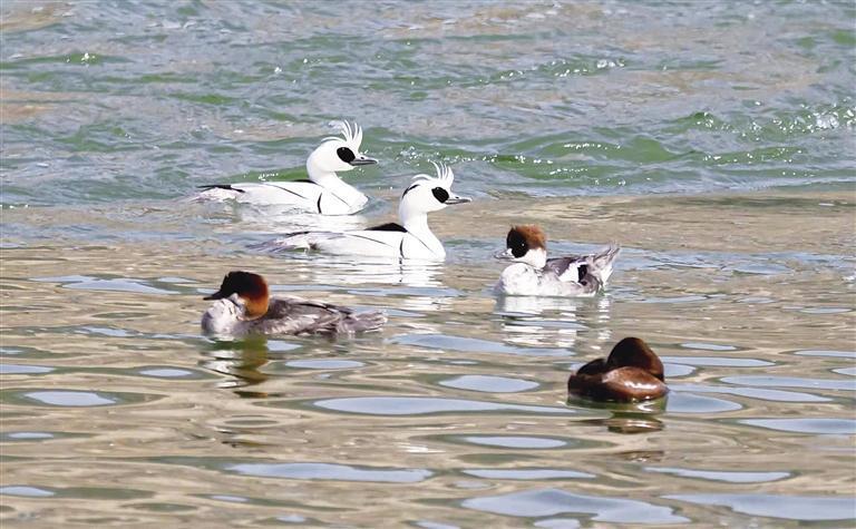 我省环境持续向好（资料图片）