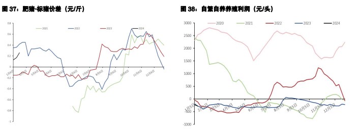 关联品种生猪所属公司：五矿期货