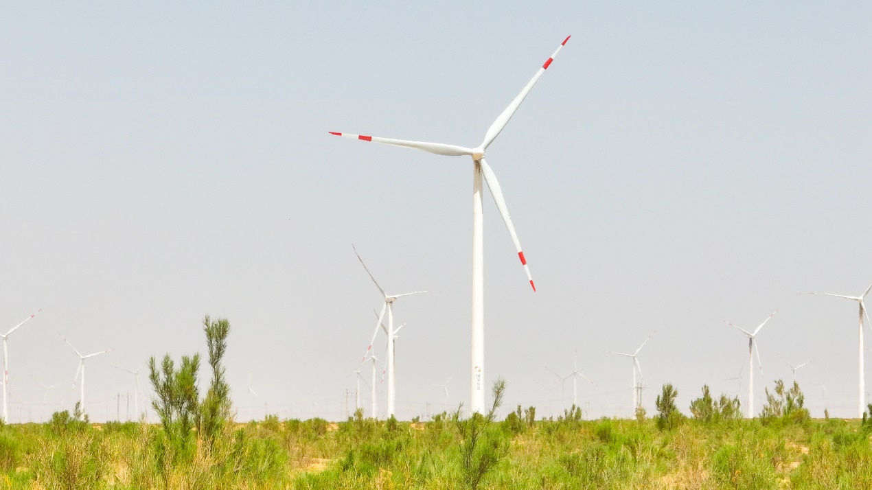 一排排风力发电机组成庞大阵列,迎风旋转的风轮叶片正在"吞风吐电"