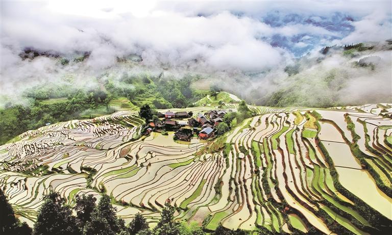 从江县加榜梯田美景. (黔东南州委宣传部供图)