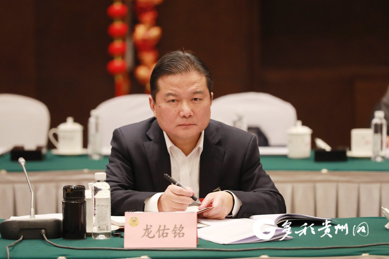 省政协委员,贵州省非物质文化遗产保护中心主任 龙佑铭