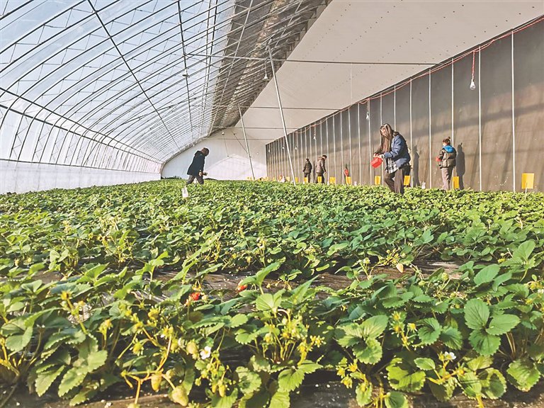 用上石墨烯 温室暖如春