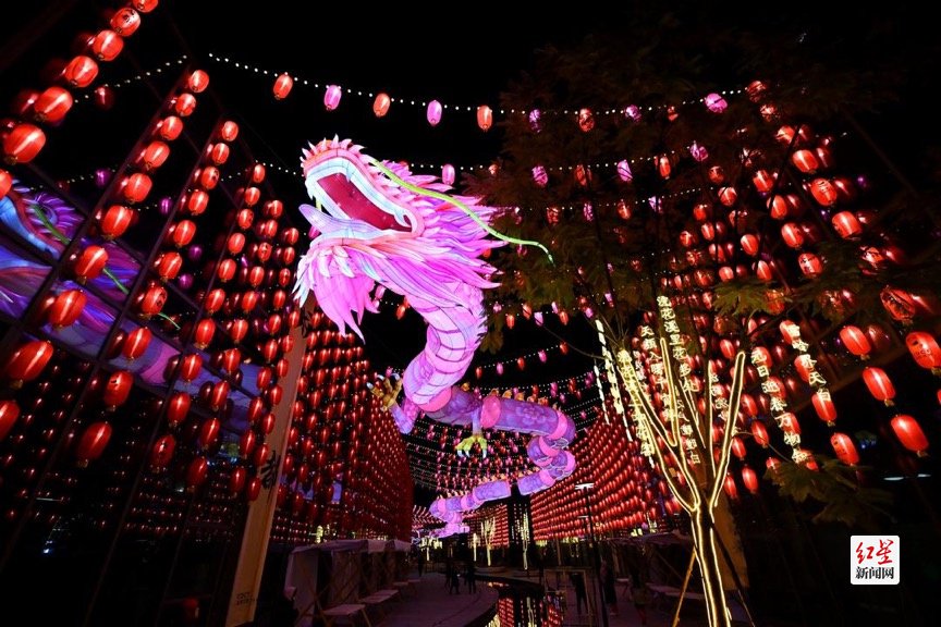 亮灯了第53届成都国际熊猫灯会真的来了