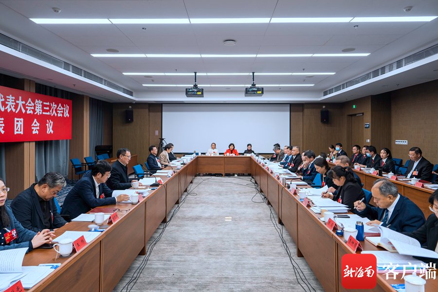 1月25日，海南省第七届人民代表大会第三次会议儋州代表团会议现场。记者 曹志 摄