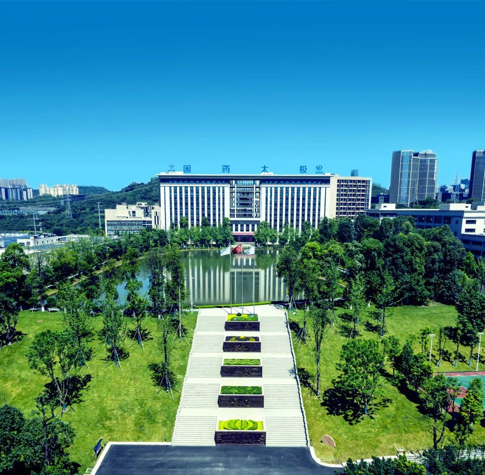 重庆市_新浪财经_新浪网