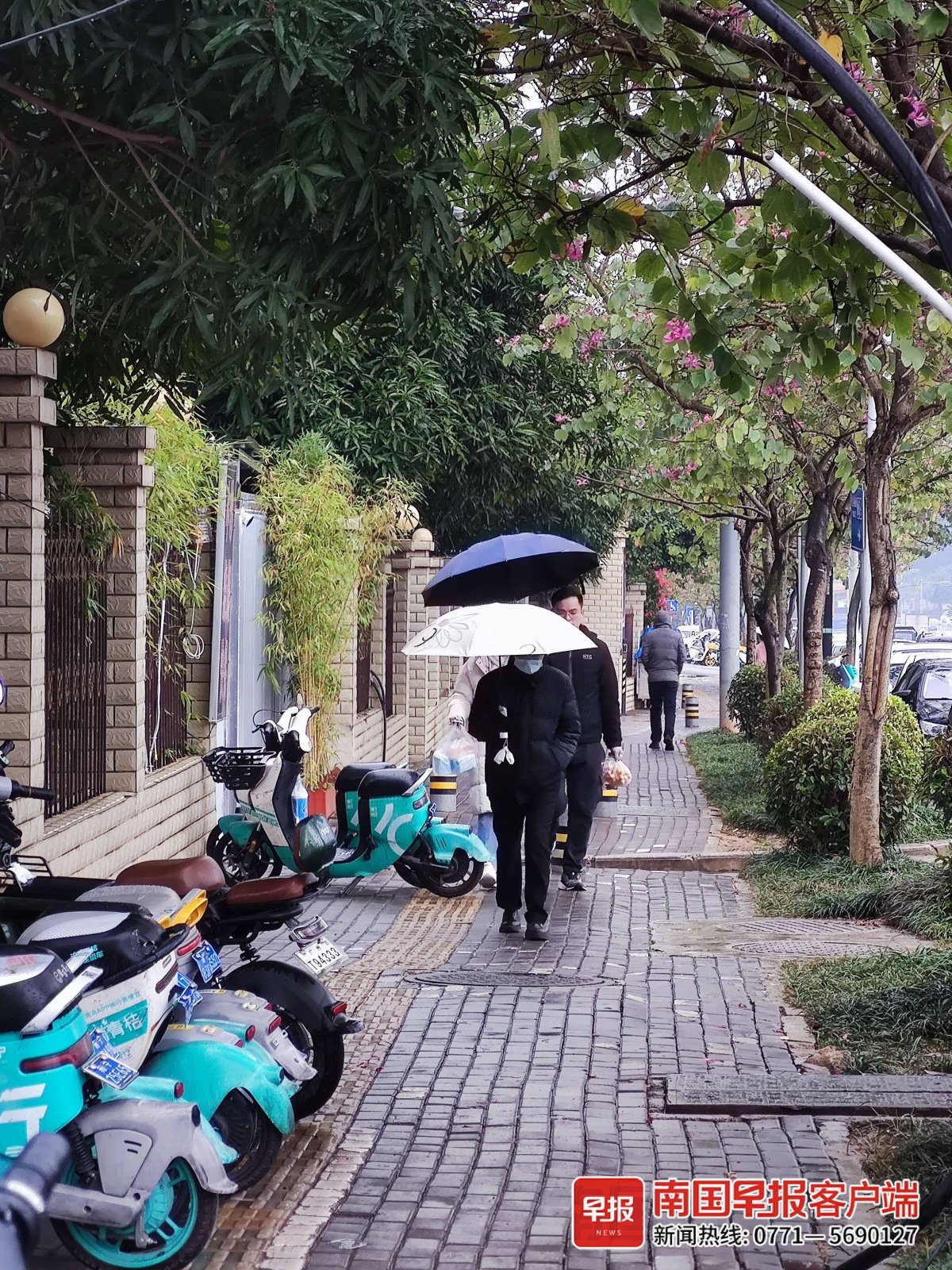 1月27日,南宁下雨,市民纷纷撑伞出行.记者&nbsp;尹世斌 摄