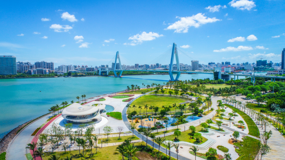 海口世纪公园.海南日报记者 张茂 摄