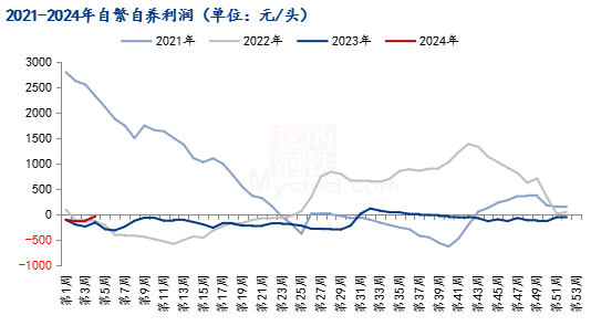 图3  2021-2024年自繁自养利润图