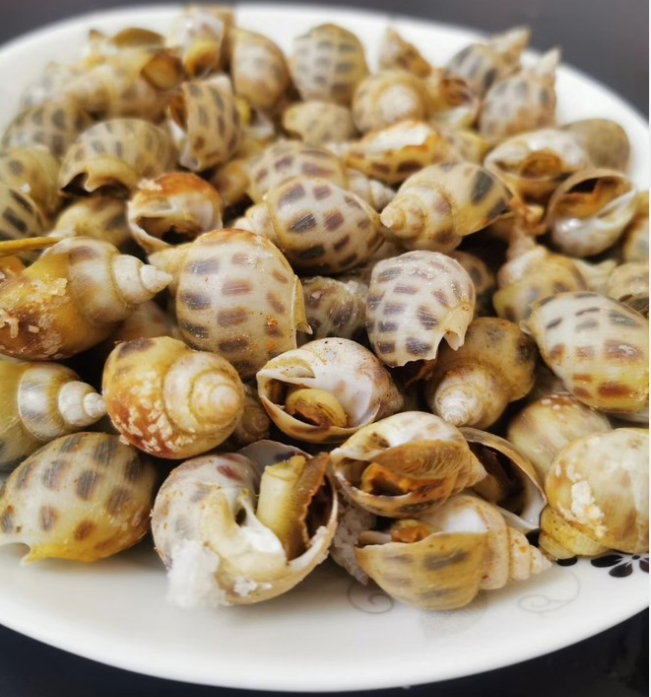 冬日里最佳赏味期的湛江海鲜有哪些?