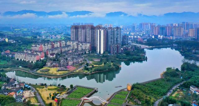 1月29日上午,四川省大竹县召开城乡融合环境治理提升行动动员大会.