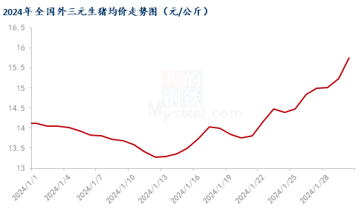 Mysteel解读:猪价大幅拉涨,养殖扭亏为盈