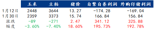 Mysteel解读:猪价大幅拉涨,养殖扭亏为盈