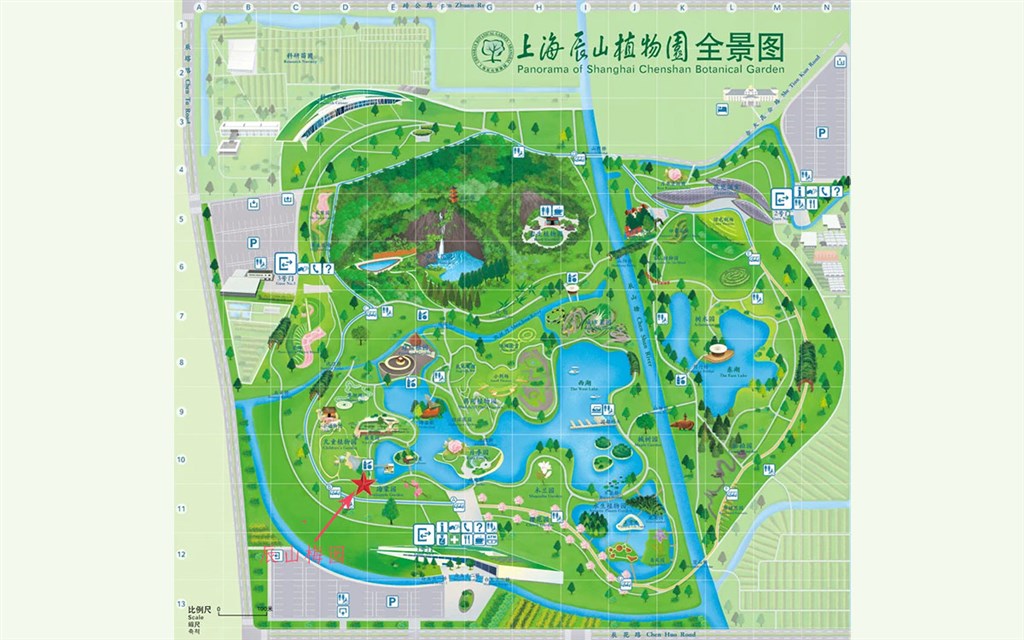 辰山植物园园区地图图片