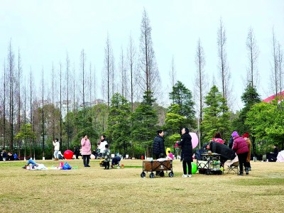 着眼身边“小事” 提升生活品质——四川天府新区在主题教育中解决群众急难愁盼