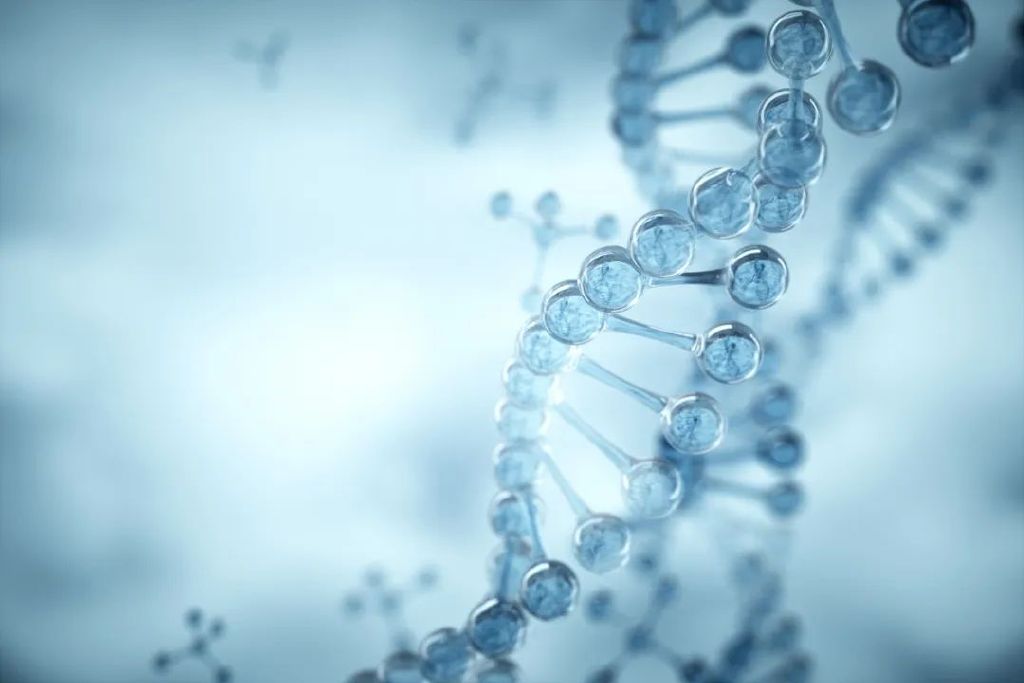 建立中国人自己的基因组技术体系路有多远