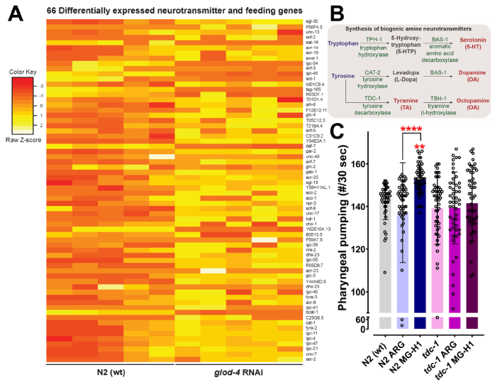 图5 rna-seq分析差异表达基因
