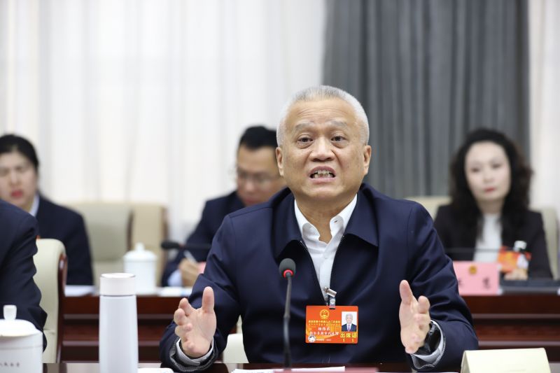 内蒙古自治区人大代表,自治区党委副书记,自治区政法委书记杨伟东审议