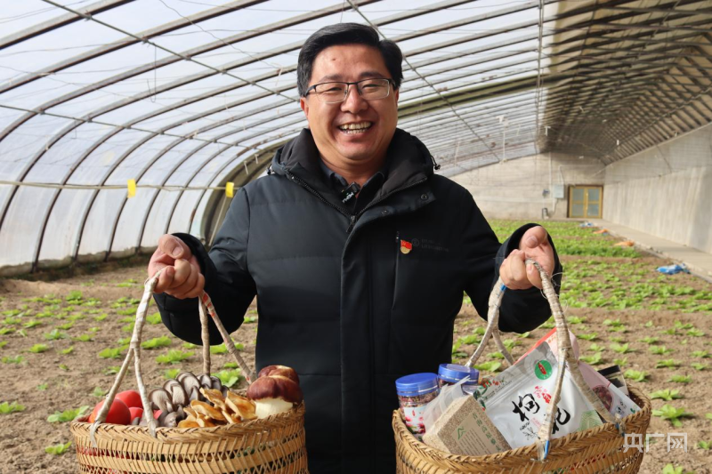 【新春走基层】青海格尔木：戈壁滩上的“绿色奇迹”