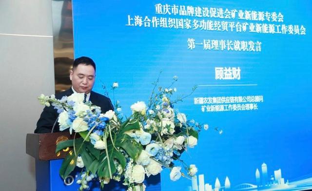 助力开拓国际市场,上海合作组织国家多功能经贸平台矿业新能源工作