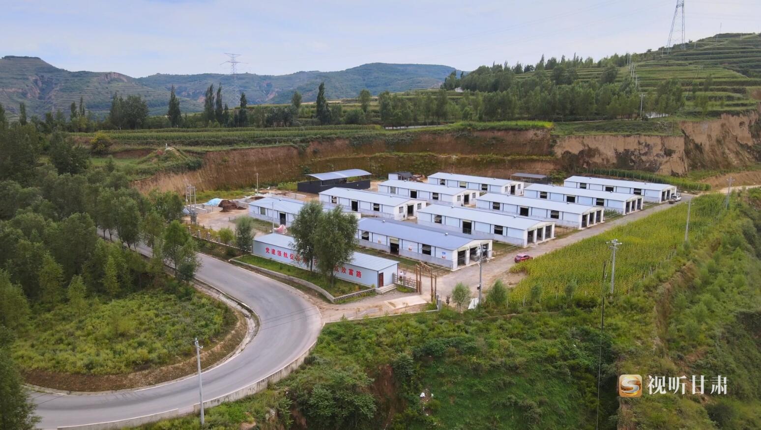 (肉牛集中养殖小区&nbsp;崆峒区融媒体中心供图)