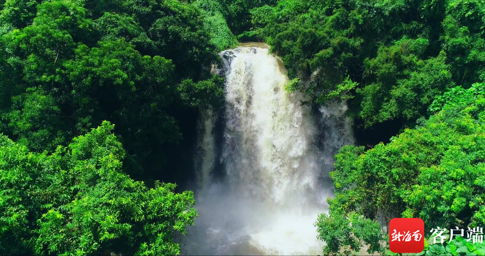 临高县融媒体中心供图