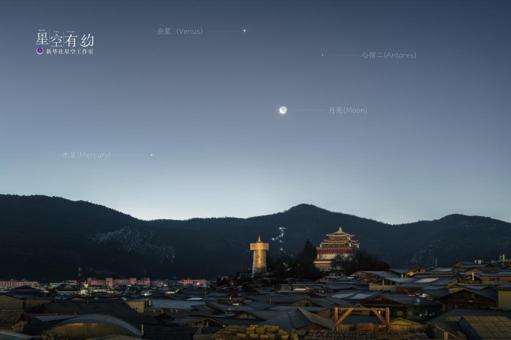 云南星空摄影爱好者张茂海2023年1月9日在云南迪庆拍制的金星,心宿二