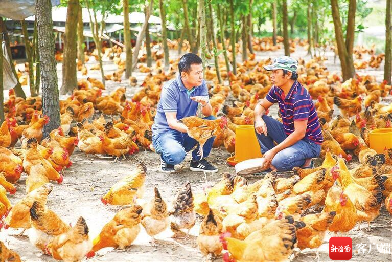 2024年文昌人口_新春财经观察海南文昌:拾遗古邑紫贝,航天小城乘势而上