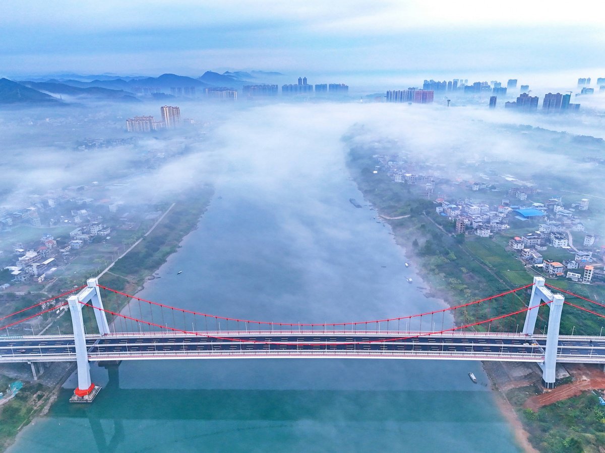 2月2日上午,横州大桥建成通车.黄汝德 摄