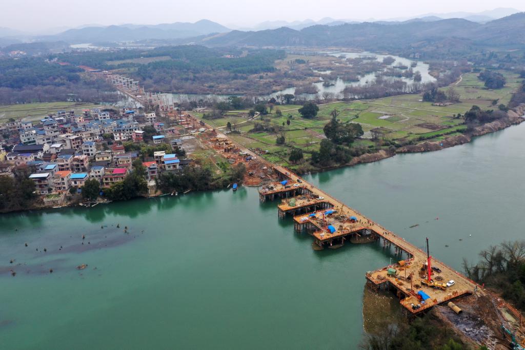 這是建設中的廣西全州至灌陽高速公路湘江特大橋(無人機照片,1月24