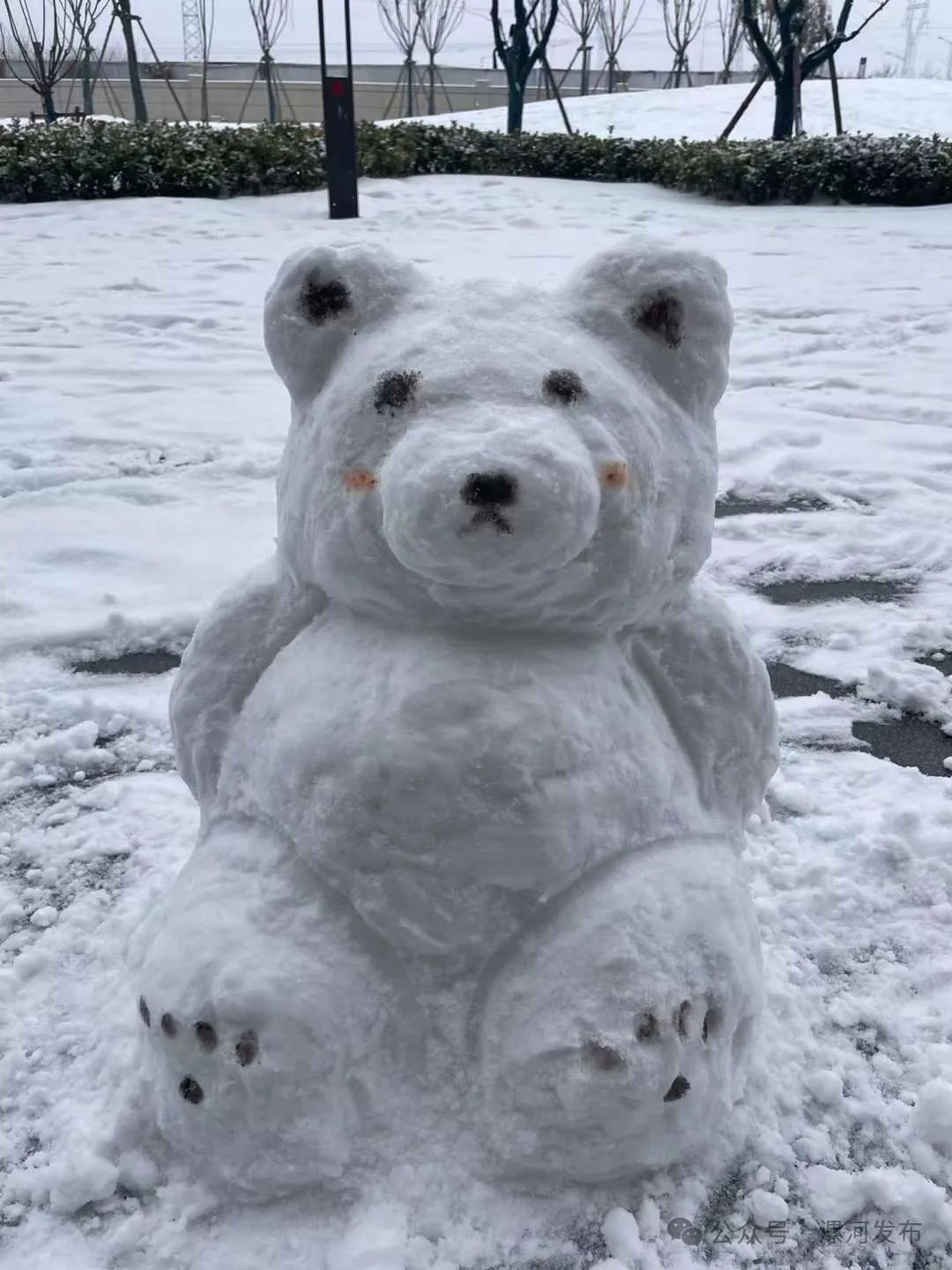 动物堆雪人的图片大全图片