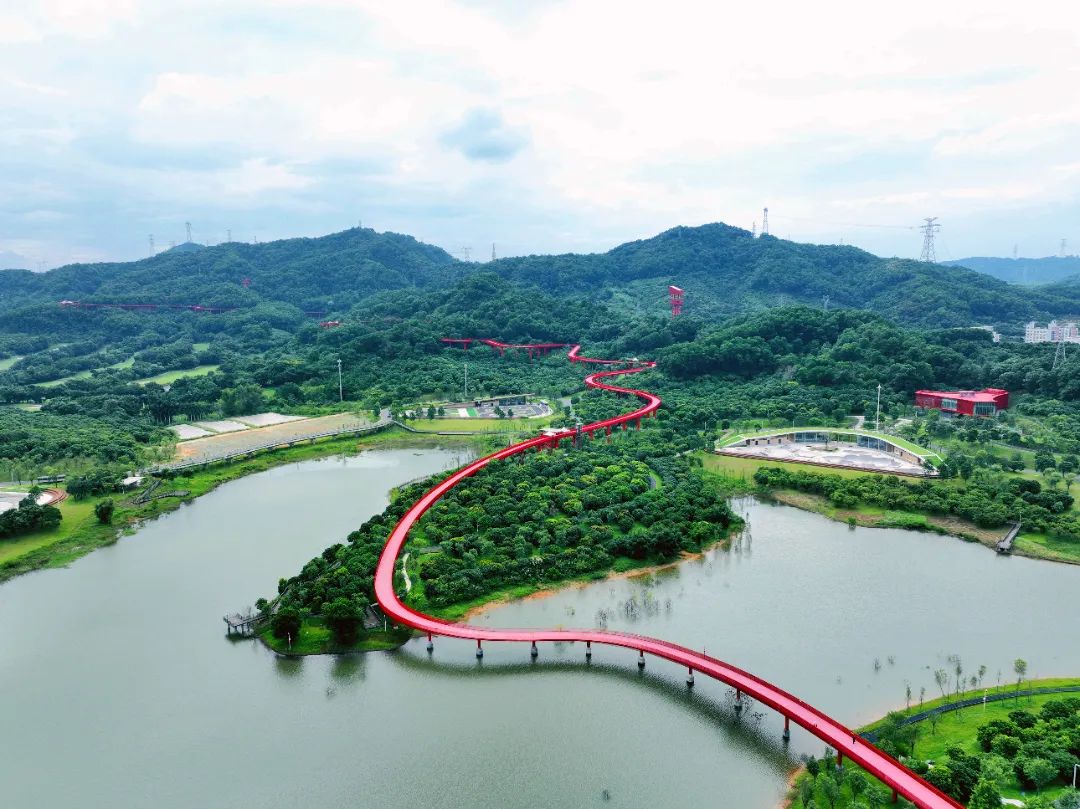 欢迎"光"临!一份来自光明的新年邀约