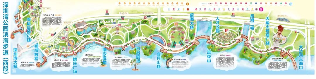 入海口多样的生命小沙河入海口距离地铁9号线深圳湾公园站不到50米,是