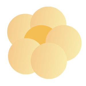 文化顾问：娄旭、唐志强