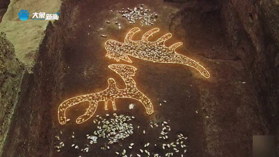 龙出河南|濮阳蚌塑龙——中国龙的正宗祖先|濮阳市_新浪财经_新浪网