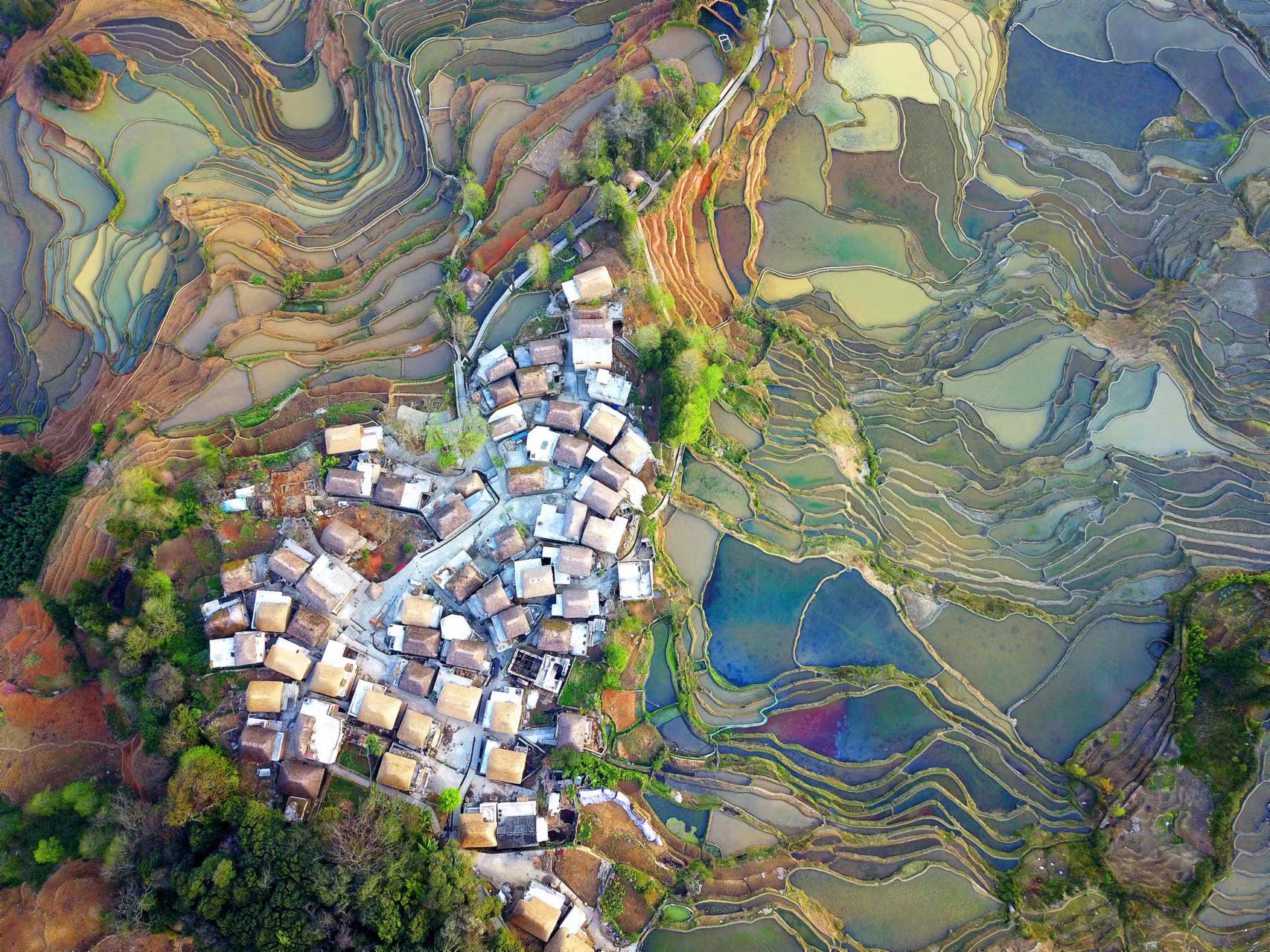 梯田里的阿者科 | 创新说