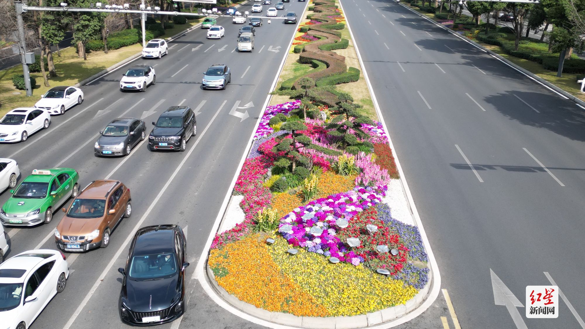 花重锦官迎新春|花卉_新浪财经_新浪网