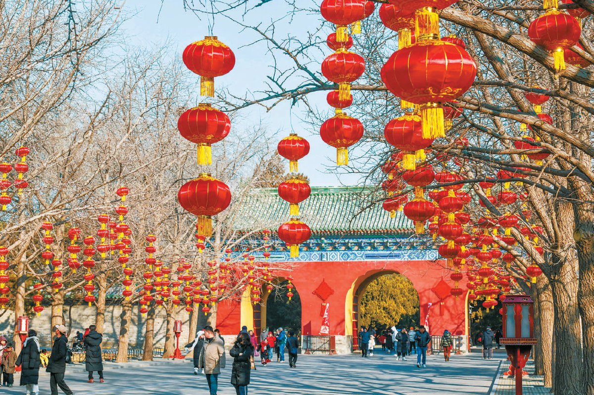 春节将至,天坛公园张灯结彩喜气洋洋,红色灯笼挂满枝头,为游客营造