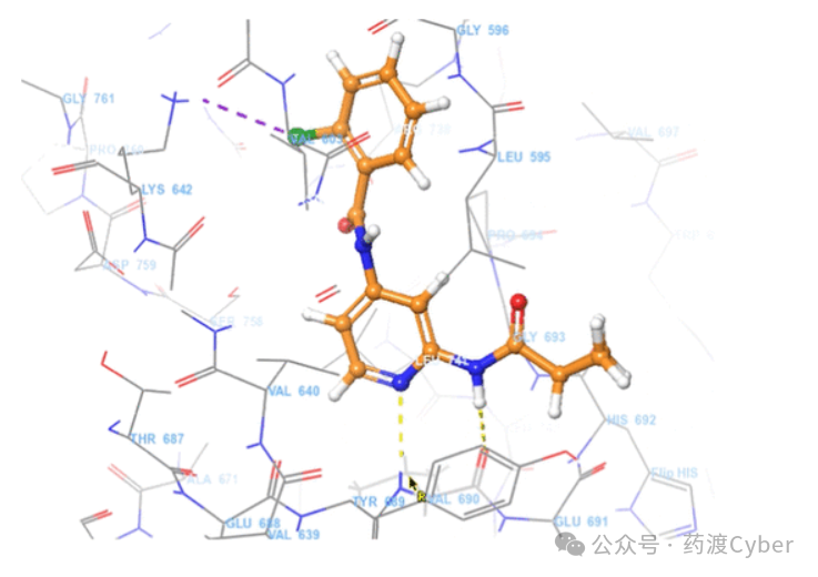 图2.2-氯-N-(2-(环丙烷羧基)吡啶-4-基)苯酰胺)在TYK2假激酶结构域中的结合模式