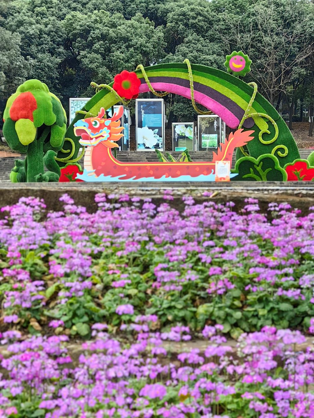 赏早樱	、逛游园
，成都市植物园春节“上新”！