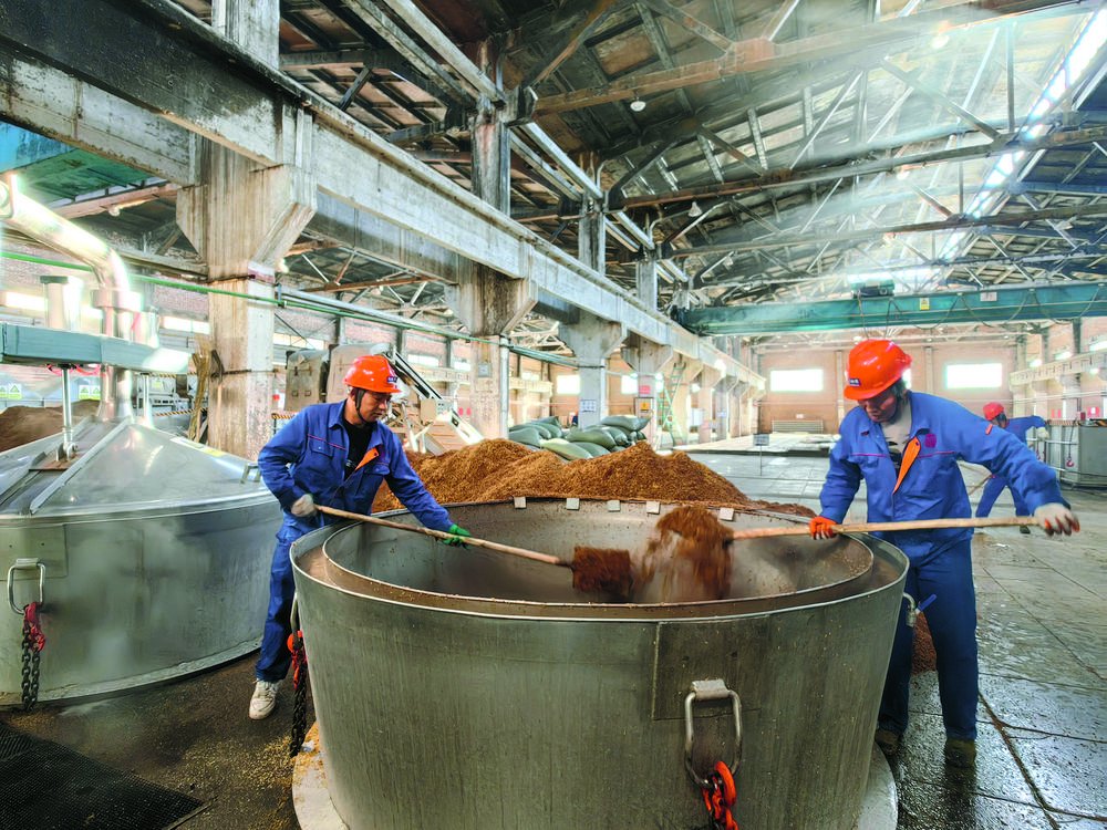 历久弥香青稞酒|青稞酒_新浪财经_新浪网