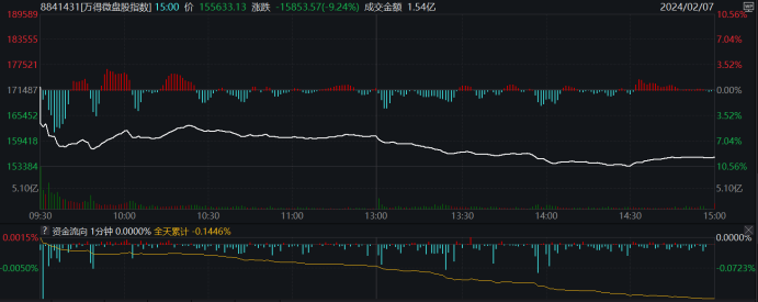 注：微盘股指数今日再度暴跌（截至2月7日收盘）