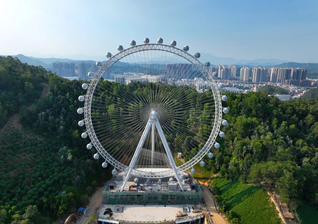 深圳多个网红景区刷屏!春节留深攻略_新浪财经_新浪网