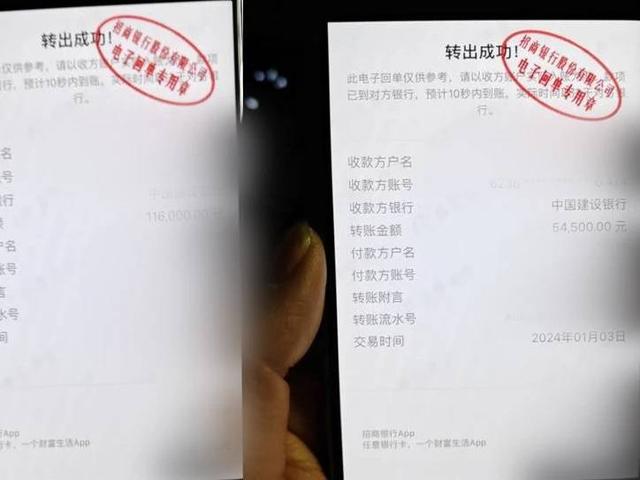 保姆调包变卖雇主多个爱马仕包 律师:若涉案超40万元