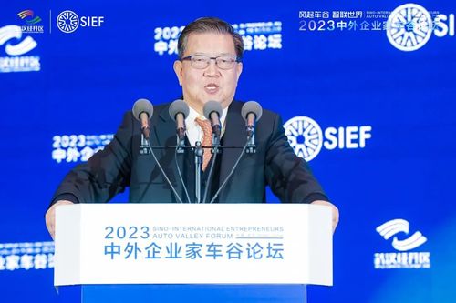 原中国外经贸部副部长、中外企业家联合会联席主席 龙永图