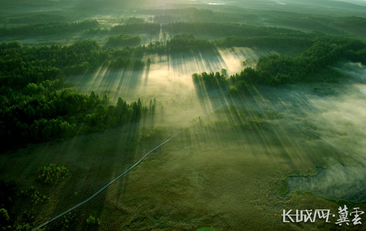 空中俯瞰,塞罕坝就像一块万顷绿毯.资料图