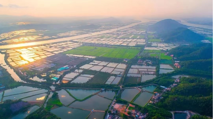 珠海市斗门区白蕉镇