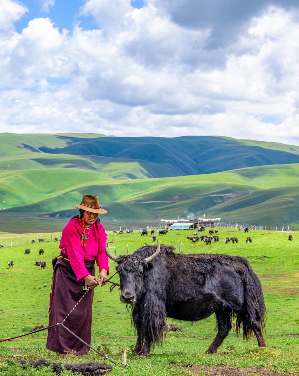 c视觉摄影师 洛绒尼玛 摄