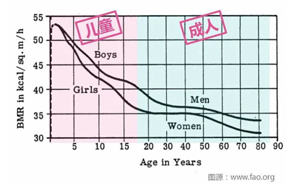 基础代谢率一直在走下坡路:老人怕孩子冷给穿得里三层外三层,孩子却热