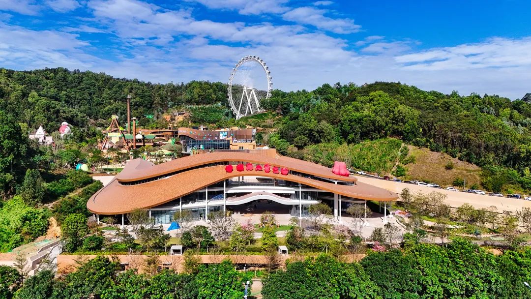 深圳多个网红景区刷屏!春节留深攻略_新浪财经_新浪网