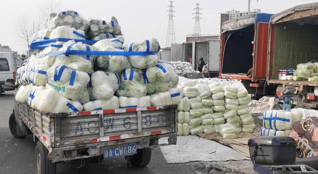 新发地市场蔬菜交易区,商户在搬卸货物.